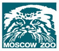 в московском зоопарке собрали тигра из детского конструктора