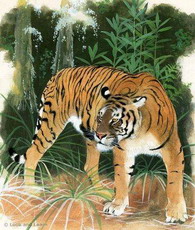 балийский тигр в культуре жителей бали